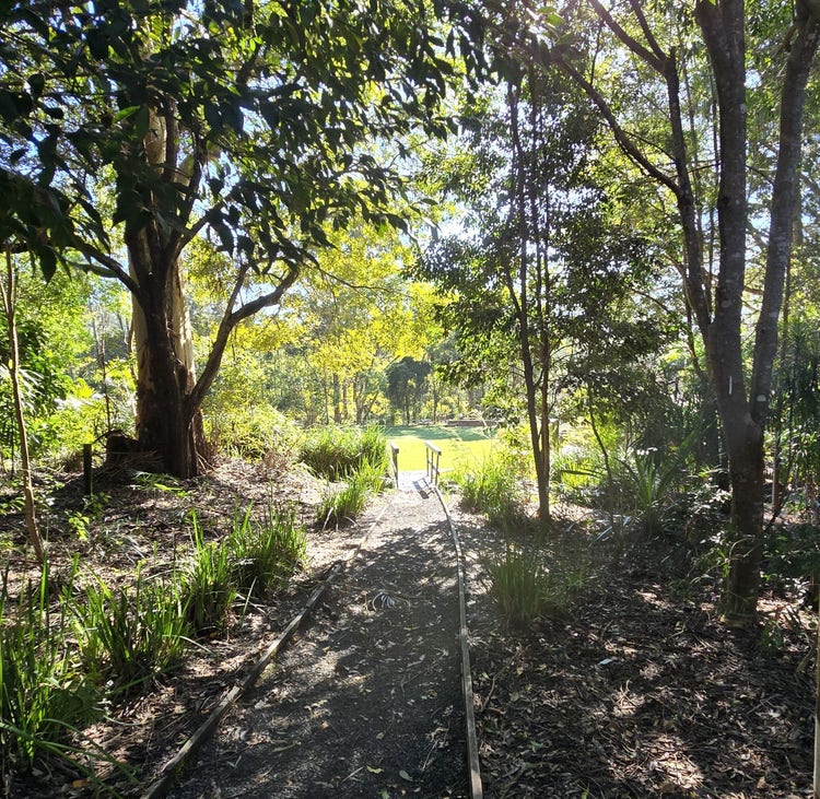 Leafy school grounds
