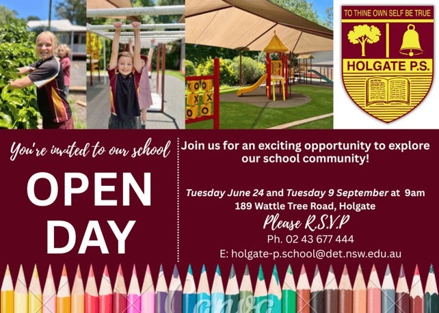 Open Day flyer for Holgate Public School